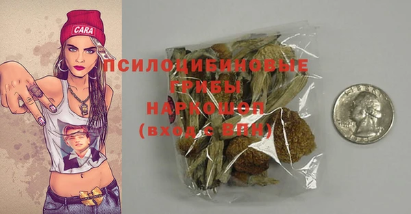 твердый Белокуриха