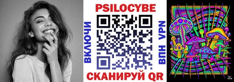 цены   Болотное  Галлюциногенные грибы Psilocybe 